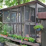 Familienoase Damsdorf アパート